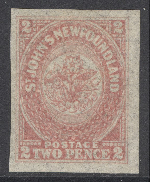 SG 17 Newfoundland 1862-64. 2d rose-lake. A fine fresh very lightly mounted mint example. 4 huge margins CAT £300