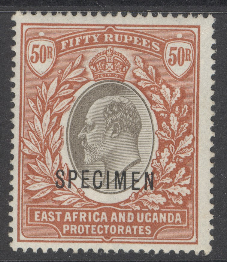 SG 16s EA&U 1903. 50r grey-green & red-brown. A fine fresh mounted mint example CAT 450