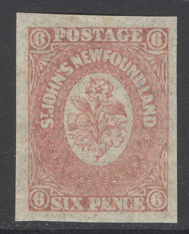 SG 20 Newfoundland 1862-64. 6d rose-lake. A fine fresh unmounted mint example. 4 fine margins CAT £35