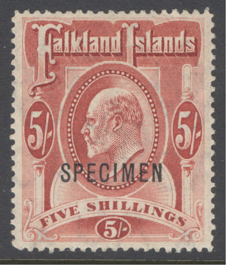 SG 50 Falklands 1904. 5/- red, overprinted specimen. A fine fresh very lightly mounted mint example with good deep colour & well centred
