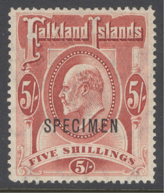 SG 50 Falklands 1904. 5/- red, overprinted specimen. A fine fresh very lightly mounted mint example with good deep colour & well centred