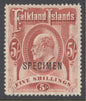 SG 50 Falklands 1904. 5/- red, overprinted specimen. A fine fresh very lightly mounted mint example with good deep colour & well centred