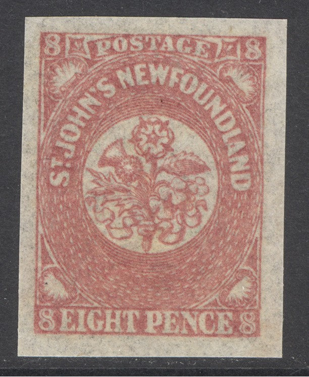 SG 22 Newfoundland 1862-64. 8d rose-lake. A fine fresh lightly mounted mint example. 4 large margins CAT £130