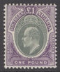 SG 20 Southern Nigeria 1903-04. £1 green & violet. Very lightly mounted mint CAT £475