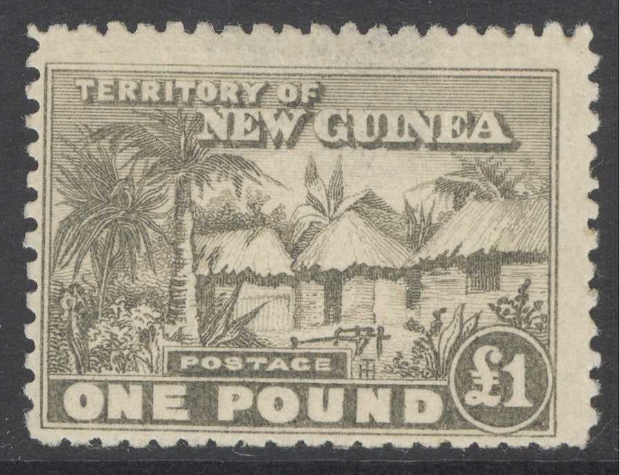SG 136 New Guinea 1925. £1 dull olive-green. Very lightly mounted mint CAT £200