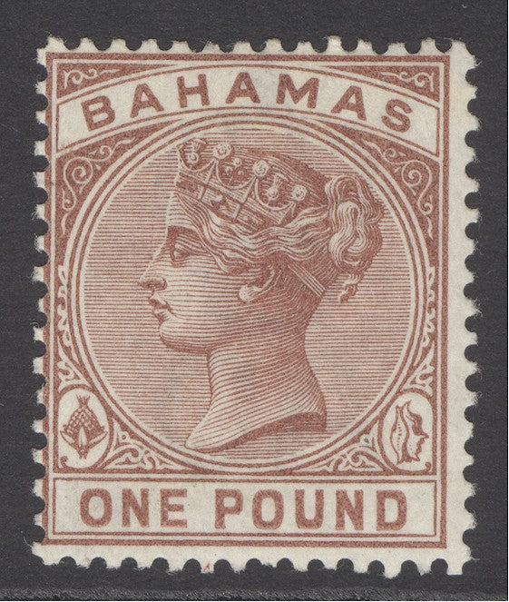SG 57 Bahamas 1884-90. £1 Venetian-red. A fine fresh lightly mounted mint example CAT £275