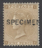 SG 86 9d bistre, overprinted specimen. Lightly mounted, good colour CAT £750
