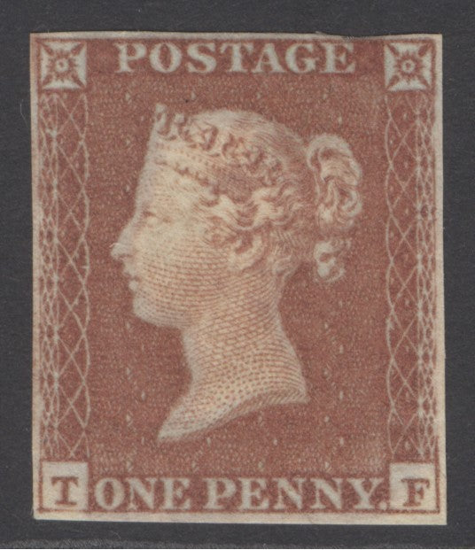 SG 8 (spec BS91e) 1d red-brown plate 118 lettered TF on thick, lavender tinted paper. Fine mounted mint, full margins CAT £1500