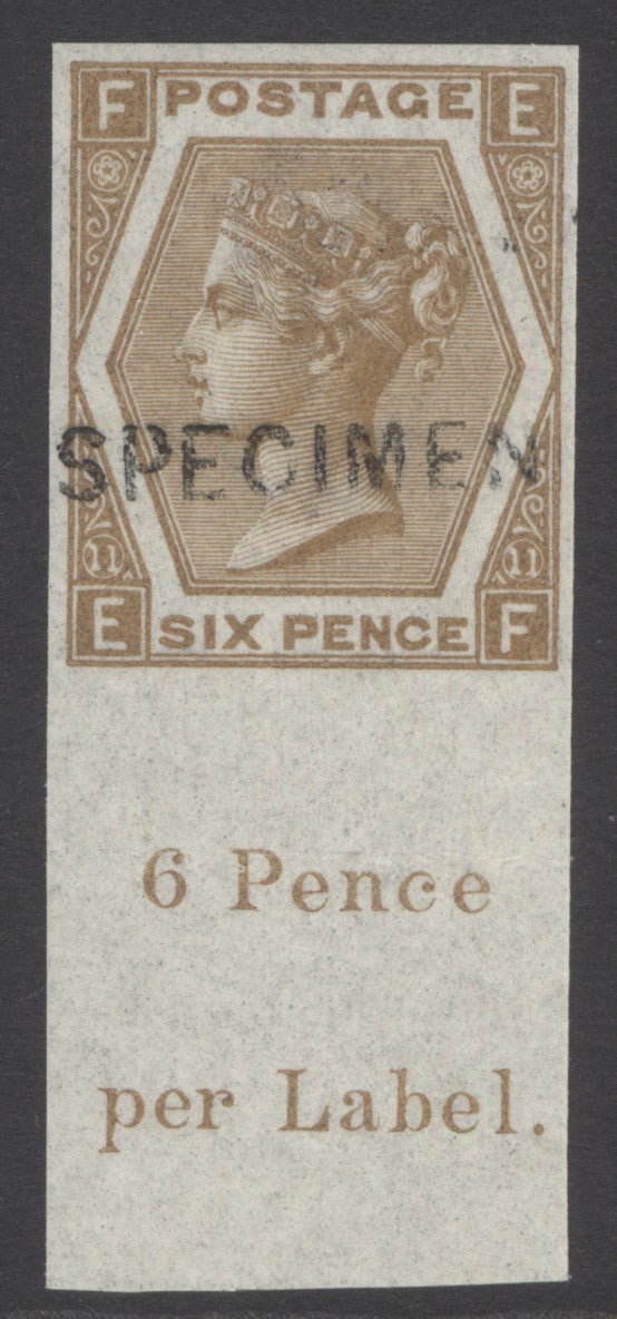 SG J79s 6d chestnut imperforate, overprinted specimen, type 6. Full margins with inscription at base. Pristine unmounted mint