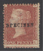SG 43 1d rose-red plate 207, overprinted specimen. Unmounted mint CAT £255